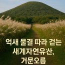 감동 | 🌋세계자연유산 거문오름, 제주의 시간을 걷다｜거문오름 예약・코스・감동 후기
