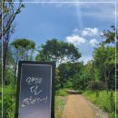 금산만악리수목원 오토캠핑장 이미지