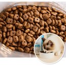 퇴계원4.8,10,18리 | 펫마트에만 있어요 (고양이 사료편)