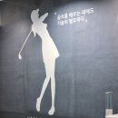에스티스크린골프존