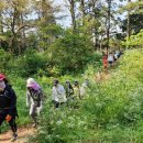 올레캠프본점알파캠프 이미지