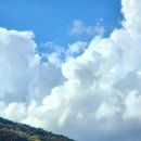 경기도 수원시 팔달구 장다리로223번길 이미지