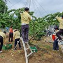 부북면행정복지센터 이미지