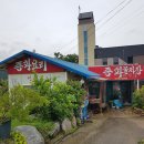 신선루 티스토리