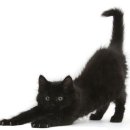 요가&스트레칭 이미지