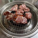 무봤나돼지창살