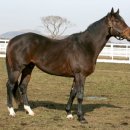 장수목장2 이미지