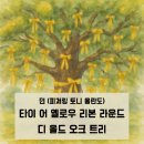 디오크(The oak) 이미지