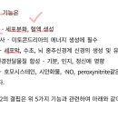 B12-2 이미지