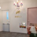 포롱도그 | 소중한 우리 반려견 다닐 애견 유치원! 전주 포롱도그에서 산책, 수영, 어질리티 등 다양한 활동시켜요!