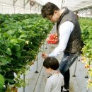 주몽농장 이미지