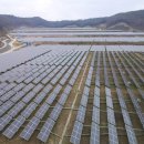 해바라기태양광발전소 이미지