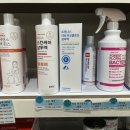 정자현대동물병원 이미지