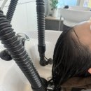 아이엘헤어 | 부천 상동 미용실 아이엘헤어 상동점 신데렐라 클리닉 레이어드컷 후기