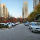 분당다원동물병원 이미지