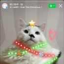 상엽오빠 나도 트리!!!🎄💙 이미지