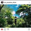 지오레이