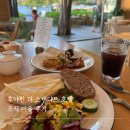 더호텔 | 후아힌 더 스탠다드 호텔 조식이용 후기