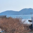 푸조와곰솔 | 🌊거제도 바다뷰 힐링🏖️ 푸조와곰솔 펜션 204호 솔직 후기