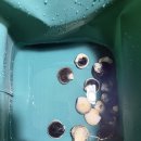 비토섬 신우리조트(주) 이미지