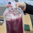 배곧중학교 | 제대혈 보관 비용 아까울까? 둘째 출산 앞두고 제대혈 기증으로 마음 굳힌 이유