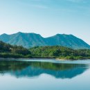 의성 참기름 이미지