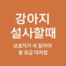 미음펫푸드 | 강아지 설사할때, 보호자가 꼭 알아야 할 응급 대처법