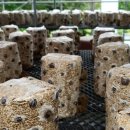 청봉 농장 이미지