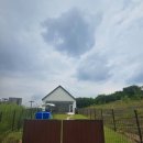 윤슬 | 평택 윤슬로 대관 후기l강아지화 함께 즐긴 프라이빗 평택 공간대여