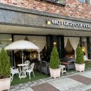 모티즈21