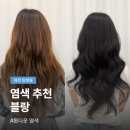 대전 탄방동 미용실 블랑 | 톤다운 염색 페이크블랙 만족 후기