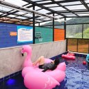 세인트354 이미지