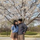 공원분식 이미지