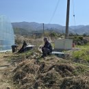 약수산채마을 이미지