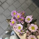 꿀잼문방구안양 | 준 (June)