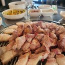제주도로담