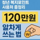 경기도 청년 복지포인트 사용처 총정리: 120만원 알차게 쓰는 법