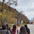 헐레벌떡