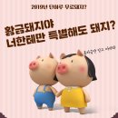 홍대보니따 이미지