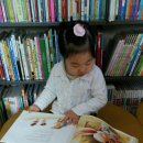 영랑작은도서관 이미지