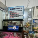 초정바베큐캠프 | 청주애견동반 / 청주내수맛집 / 초정맛집 “초정바베큐“ 내돈내산 후기