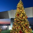 카페 인 코너 이미지