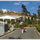 꽃섬나드리 이미지