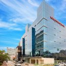 경기도 수원시 팔달구 권광로175번길 이미지