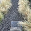 세동냉장 | 제주 조천 감성 숙소 아일안 방문후기 / A동
