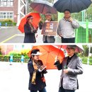 도창초등학교 이미지