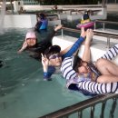 계명대 무성태권도 이미지