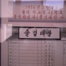 봉의초등학교 이미지