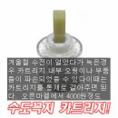 세면기 수도꼭지 수리~ 이미지