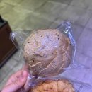 백제고분로 290앞 이미지